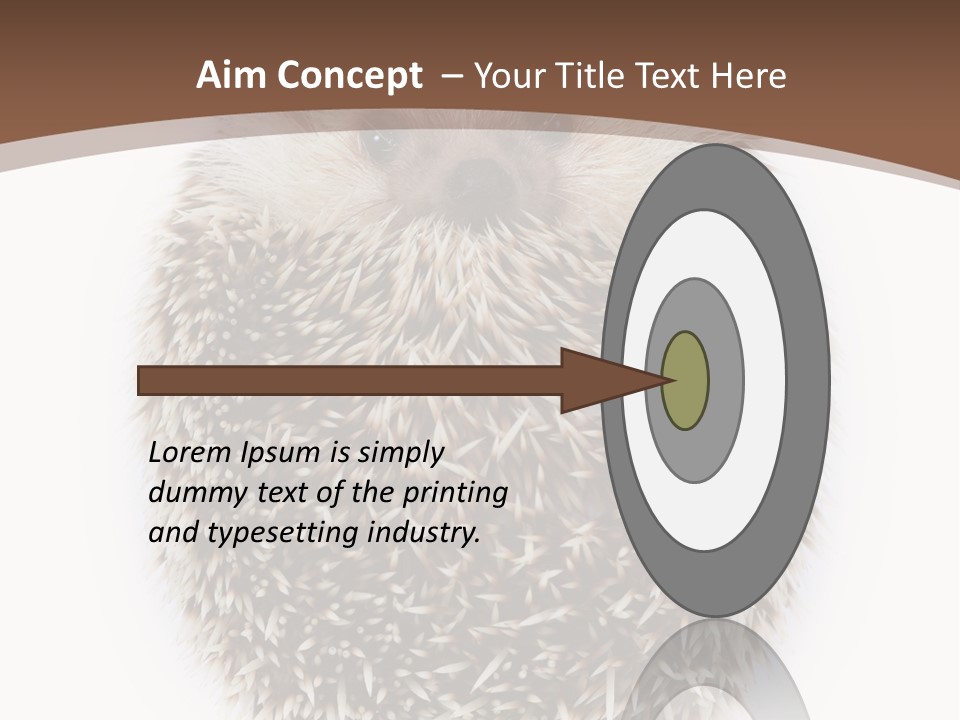A Hedgehog Sitting On Top Of A White Plate PowerPoint Template