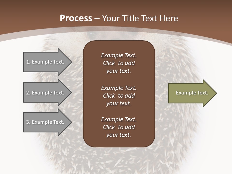 A Hedgehog Sitting On Top Of A White Plate PowerPoint Template
