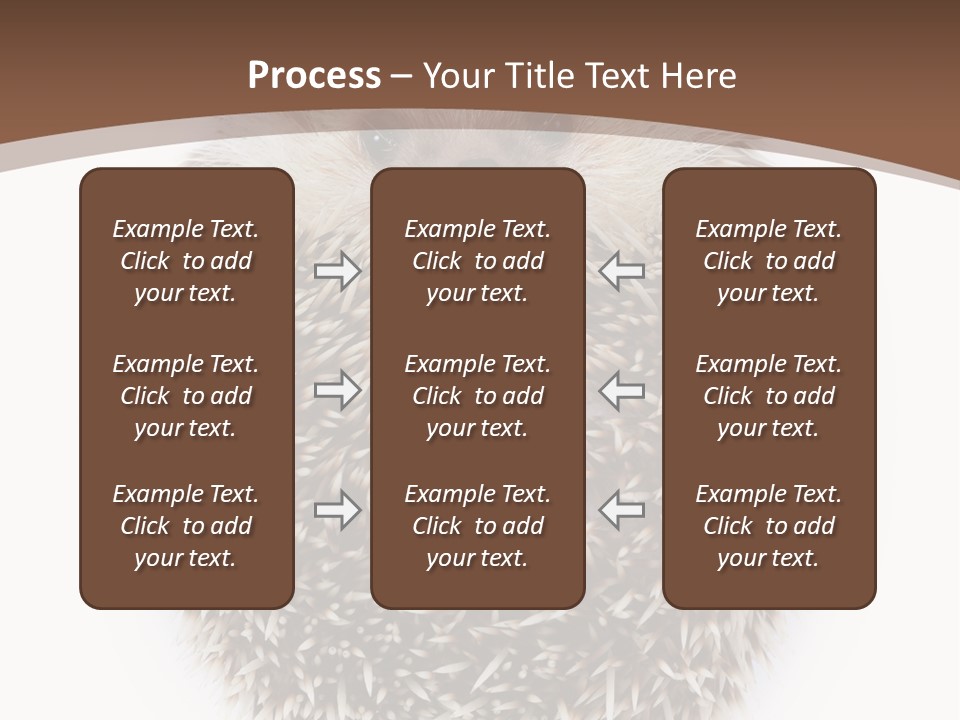 A Hedgehog Sitting On Top Of A White Plate PowerPoint Template
