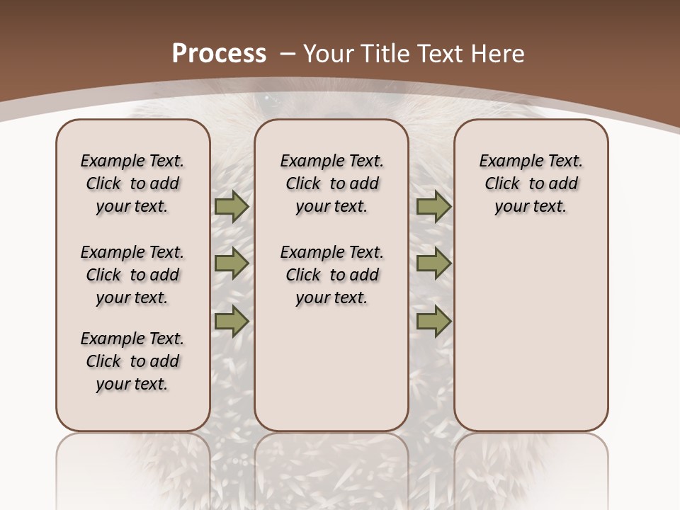 A Hedgehog Sitting On Top Of A White Plate PowerPoint Template