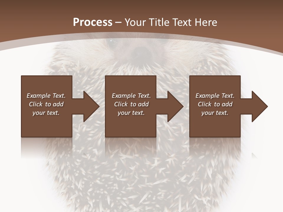 A Hedgehog Sitting On Top Of A White Plate PowerPoint Template