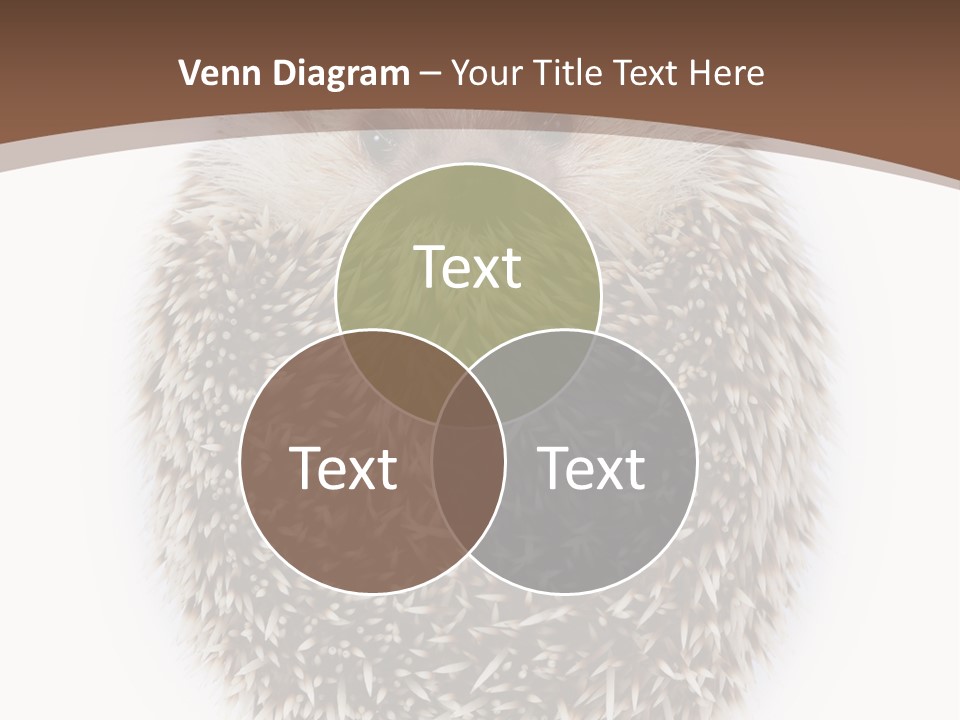 A Hedgehog Sitting On Top Of A White Plate PowerPoint Template