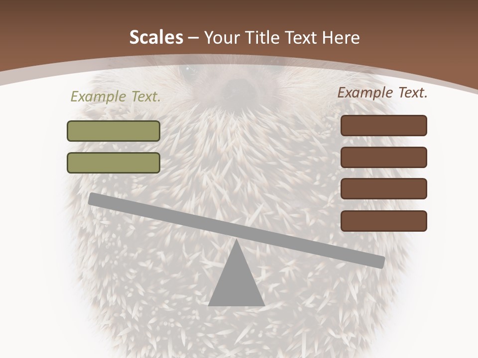 A Hedgehog Sitting On Top Of A White Plate PowerPoint Template