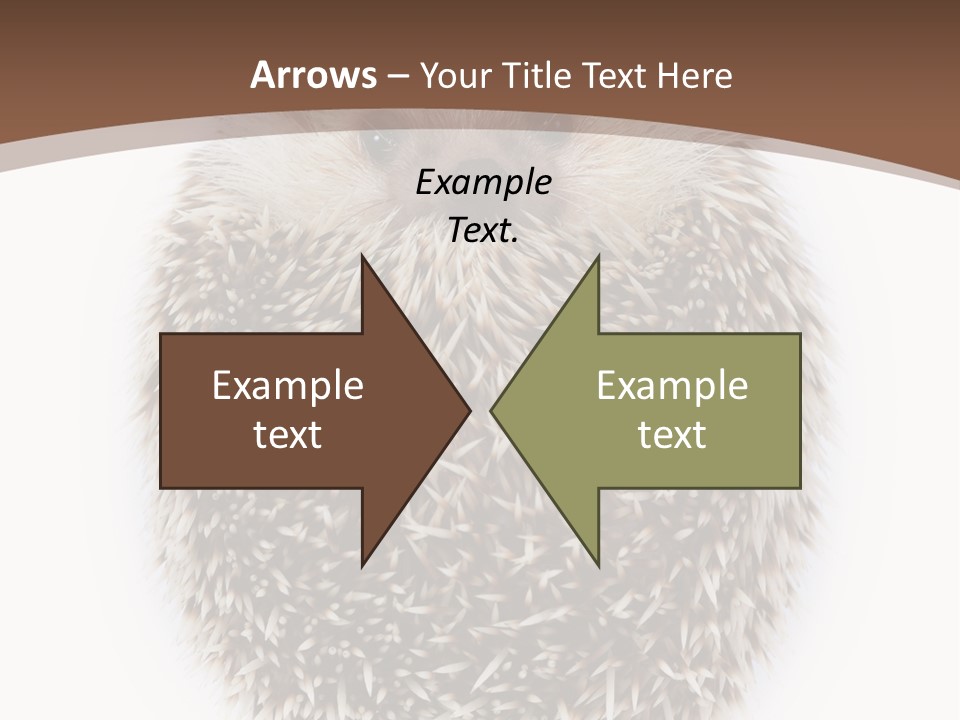 A Hedgehog Sitting On Top Of A White Plate PowerPoint Template