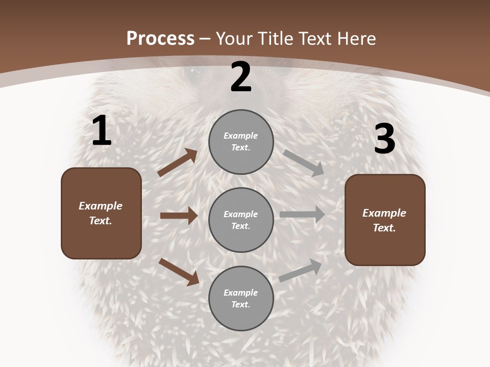 A Hedgehog Sitting On Top Of A White Plate PowerPoint Template