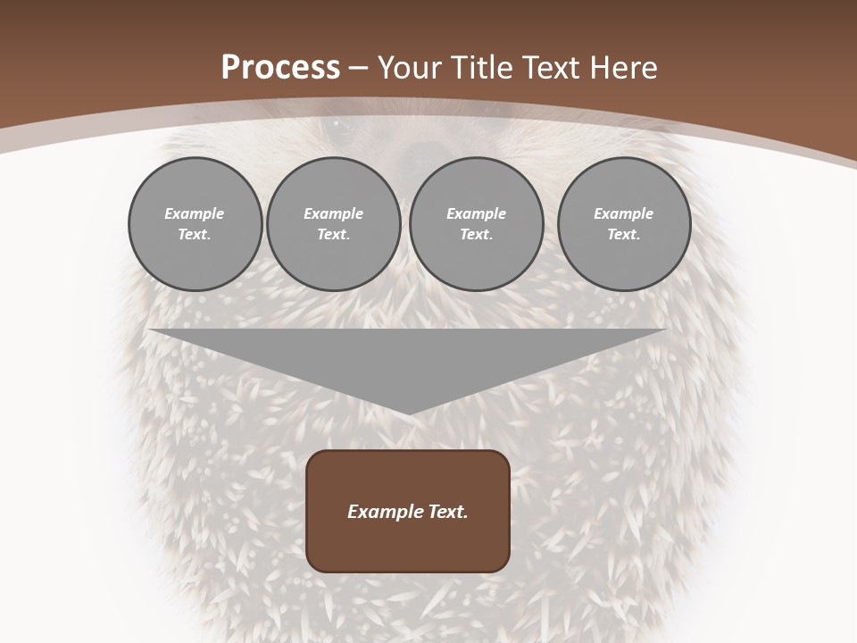 A Hedgehog Sitting On Top Of A White Plate PowerPoint Template