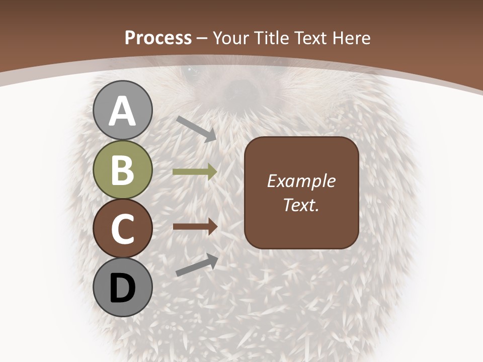 A Hedgehog Sitting On Top Of A White Plate PowerPoint Template