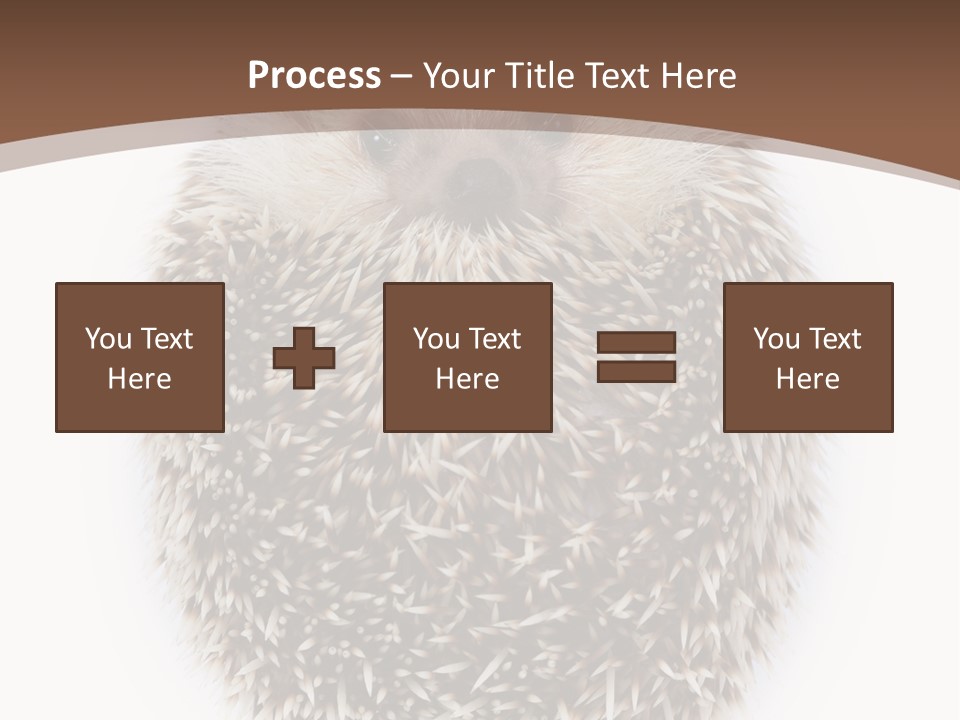 A Hedgehog Sitting On Top Of A White Plate PowerPoint Template