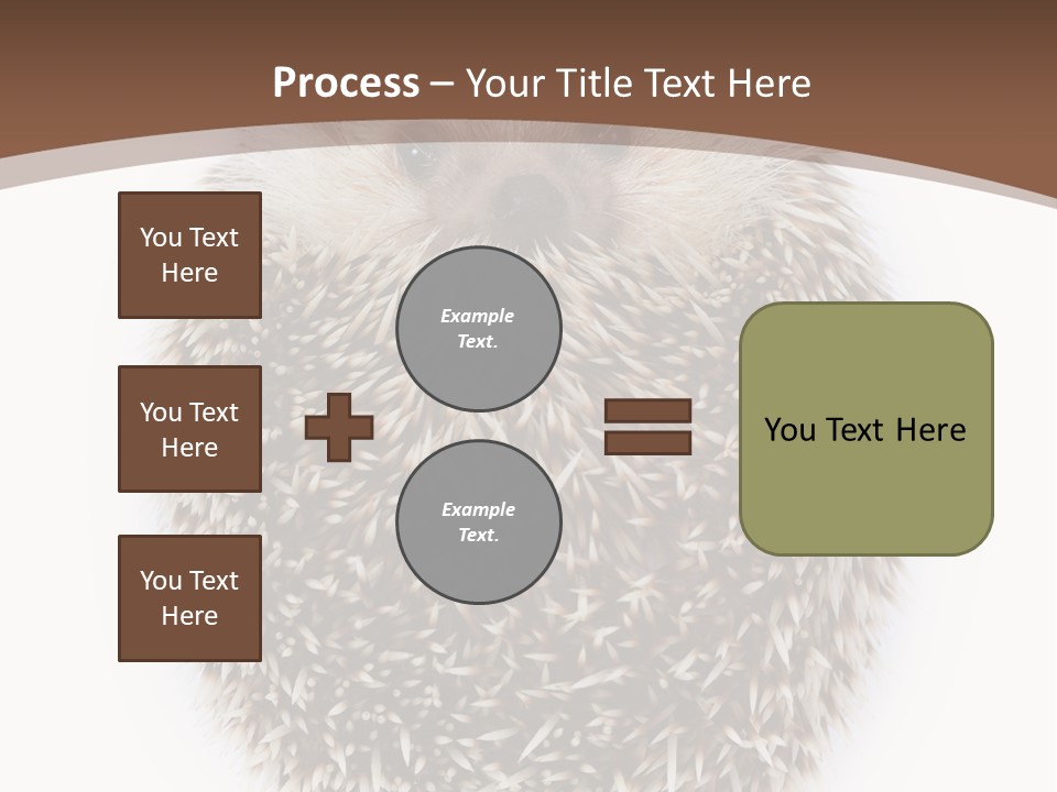 A Hedgehog Sitting On Top Of A White Plate PowerPoint Template