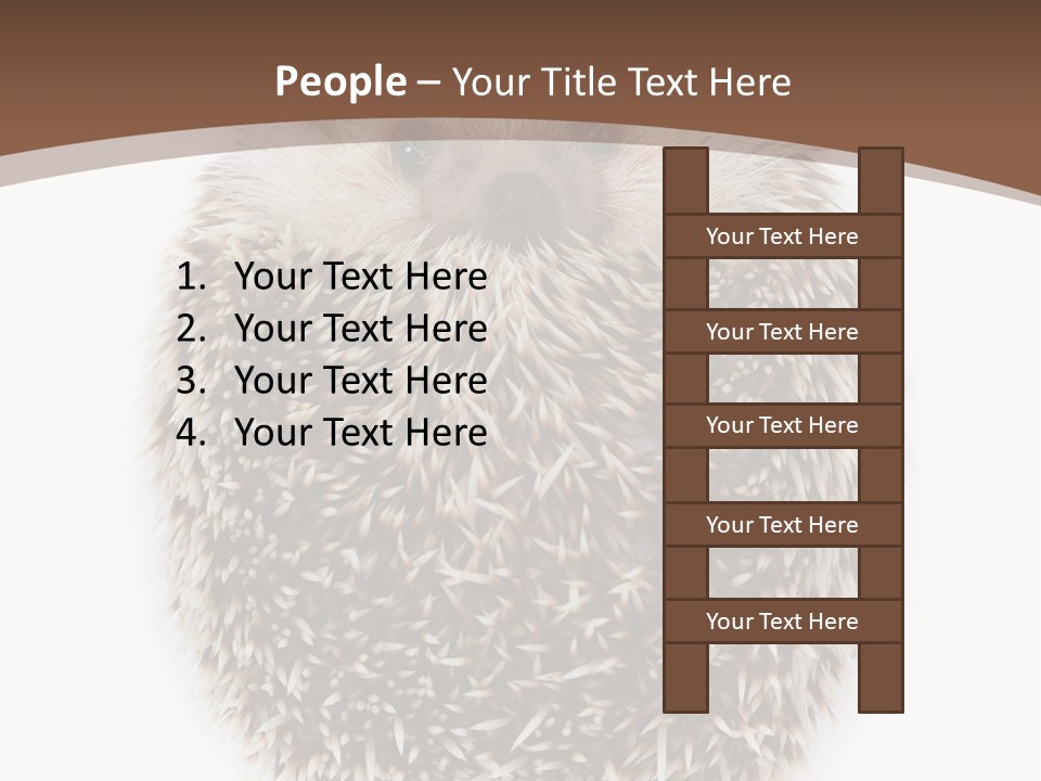 A Hedgehog Sitting On Top Of A White Plate PowerPoint Template
