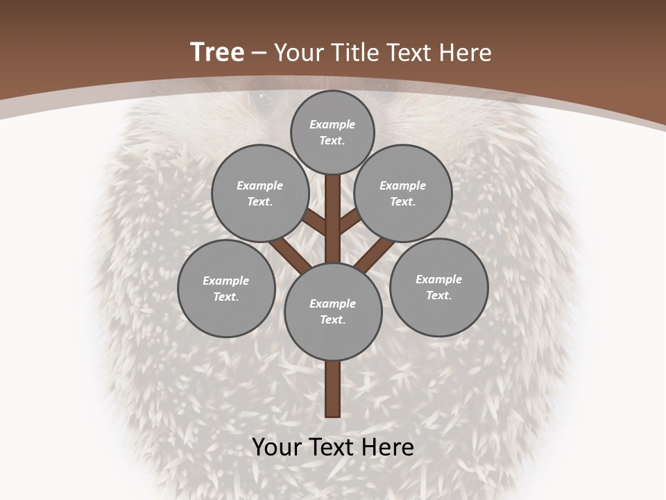 A Hedgehog Sitting On Top Of A White Plate PowerPoint Template