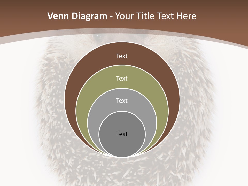 A Hedgehog Sitting On Top Of A White Plate PowerPoint Template
