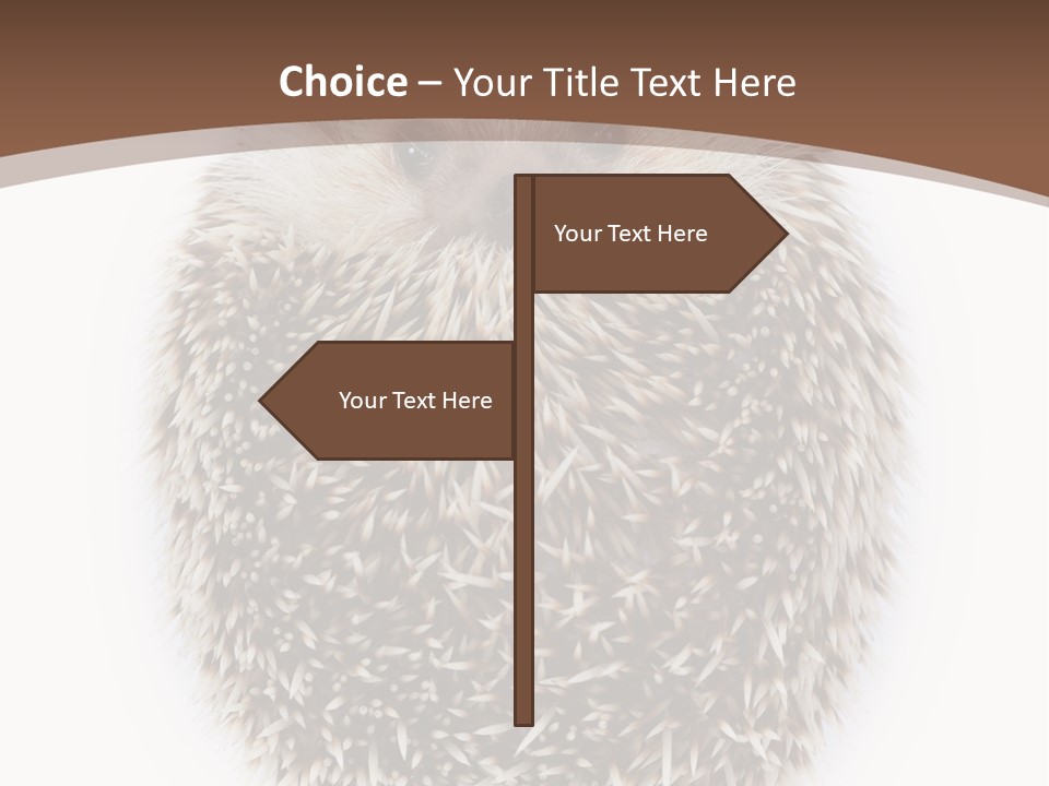 A Hedgehog Sitting On Top Of A White Plate PowerPoint Template