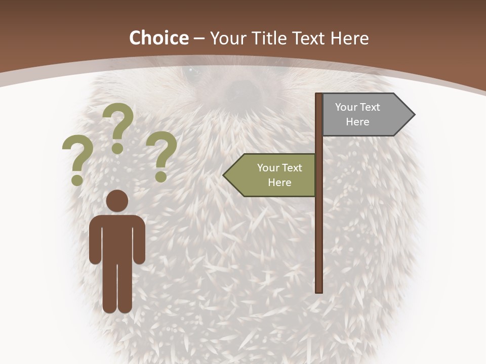 A Hedgehog Sitting On Top Of A White Plate PowerPoint Template