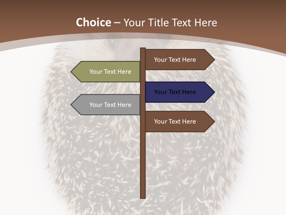 A Hedgehog Sitting On Top Of A White Plate PowerPoint Template