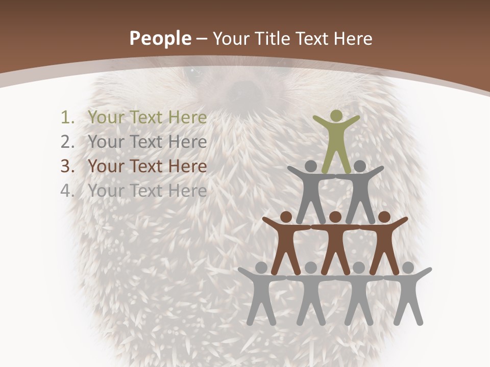 A Hedgehog Sitting On Top Of A White Plate PowerPoint Template