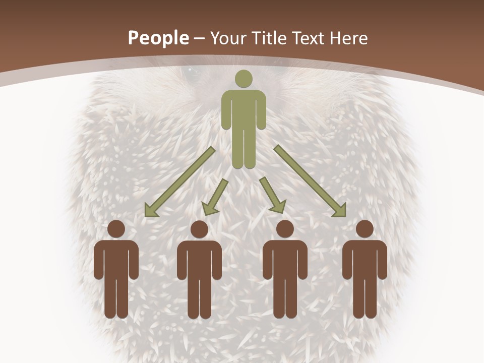 A Hedgehog Sitting On Top Of A White Plate PowerPoint Template