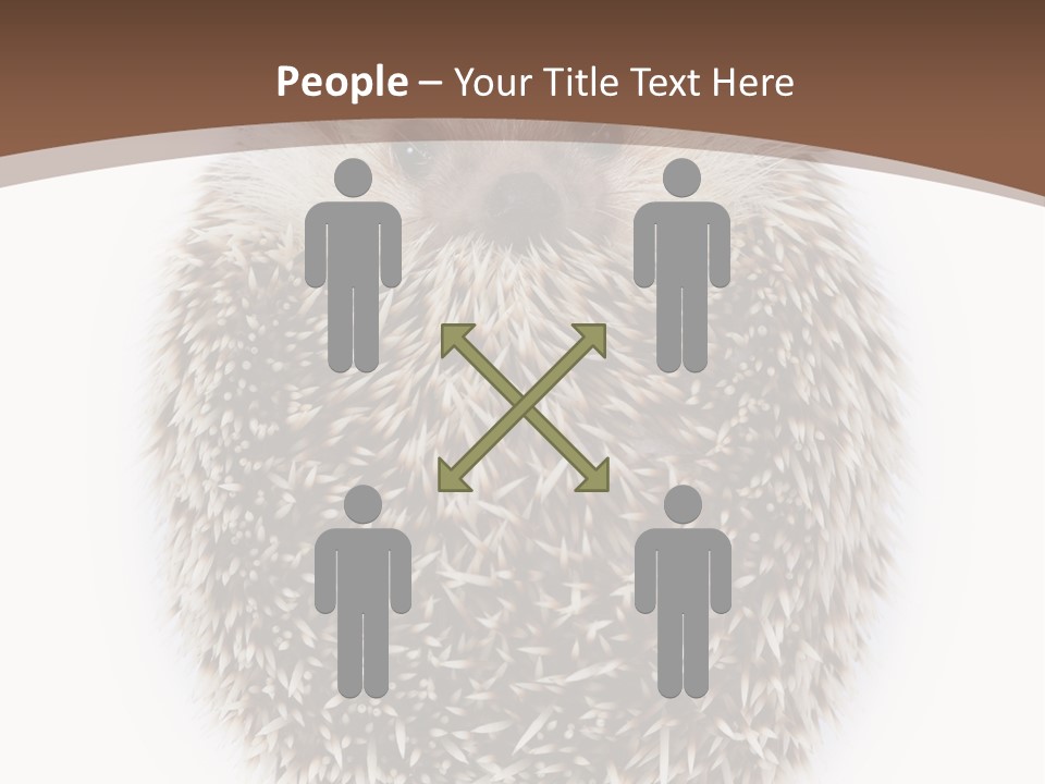 A Hedgehog Sitting On Top Of A White Plate PowerPoint Template