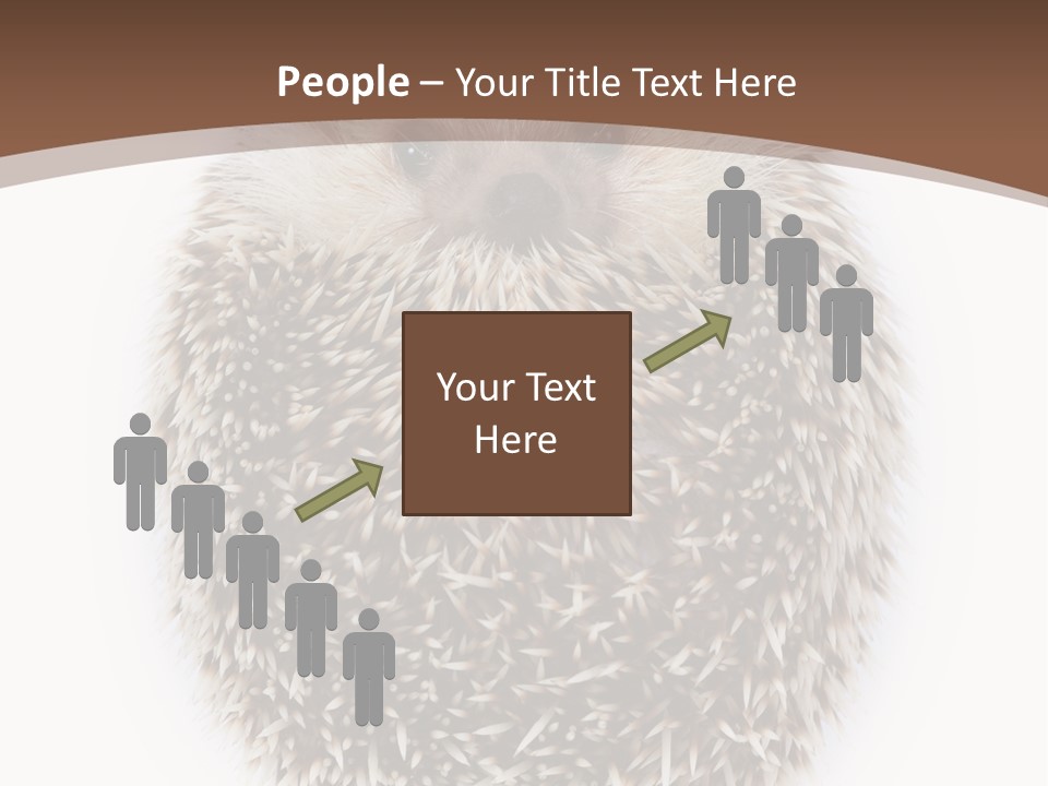 A Hedgehog Sitting On Top Of A White Plate PowerPoint Template