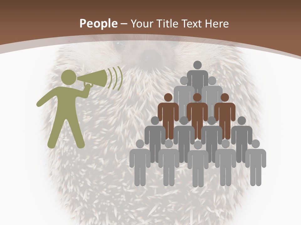A Hedgehog Sitting On Top Of A White Plate PowerPoint Template