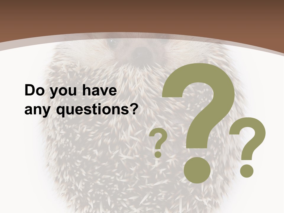 A Hedgehog Sitting On Top Of A White Plate PowerPoint Template