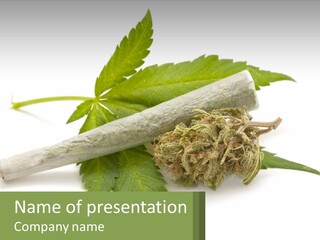 A Marijuana Leaf And A Marijuana Bud On A White Background PowerPoint Template