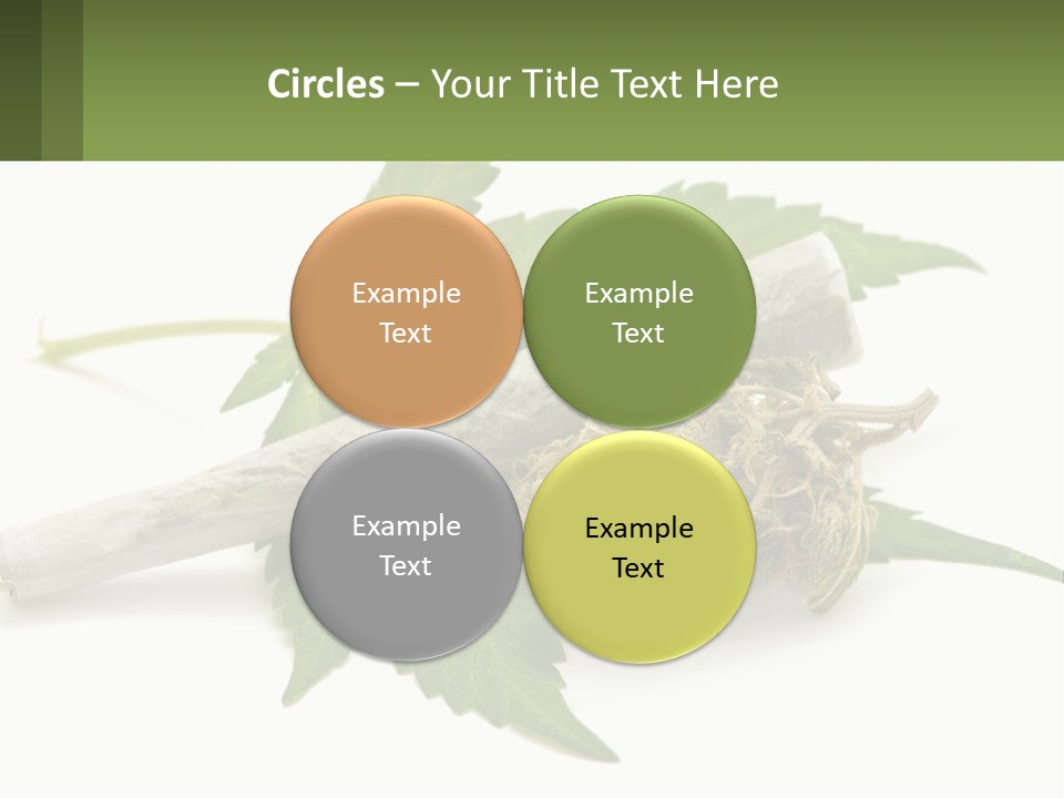 A Marijuana Leaf And A Marijuana Bud On A White Background PowerPoint Template