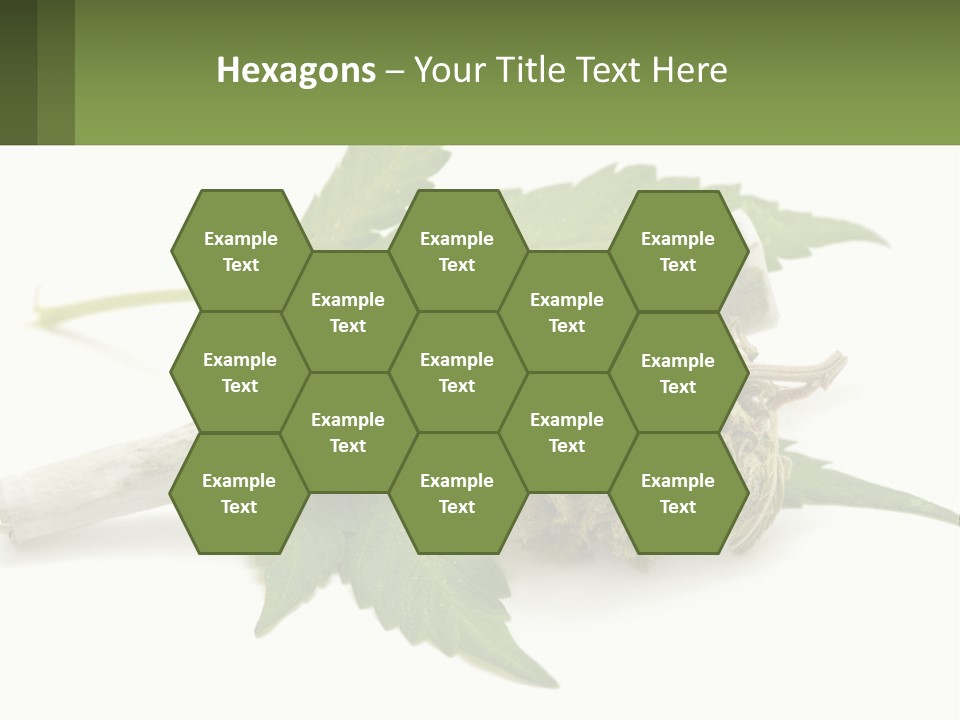 A Marijuana Leaf And A Marijuana Bud On A White Background PowerPoint Template