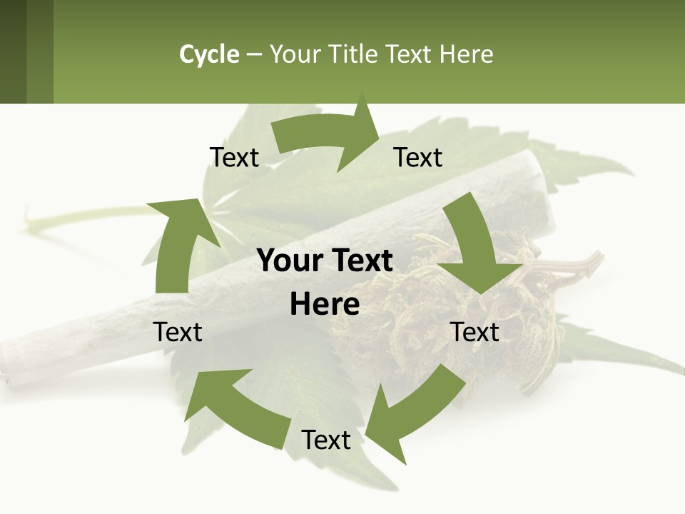 A Marijuana Leaf And A Marijuana Bud On A White Background PowerPoint Template