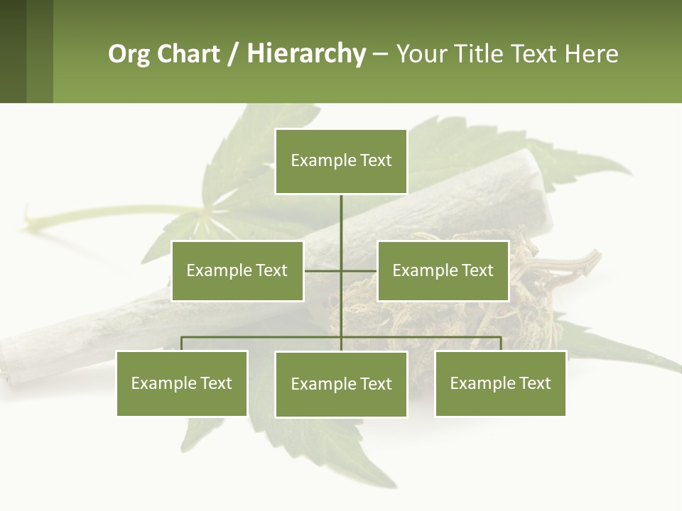 A Marijuana Leaf And A Marijuana Bud On A White Background PowerPoint Template