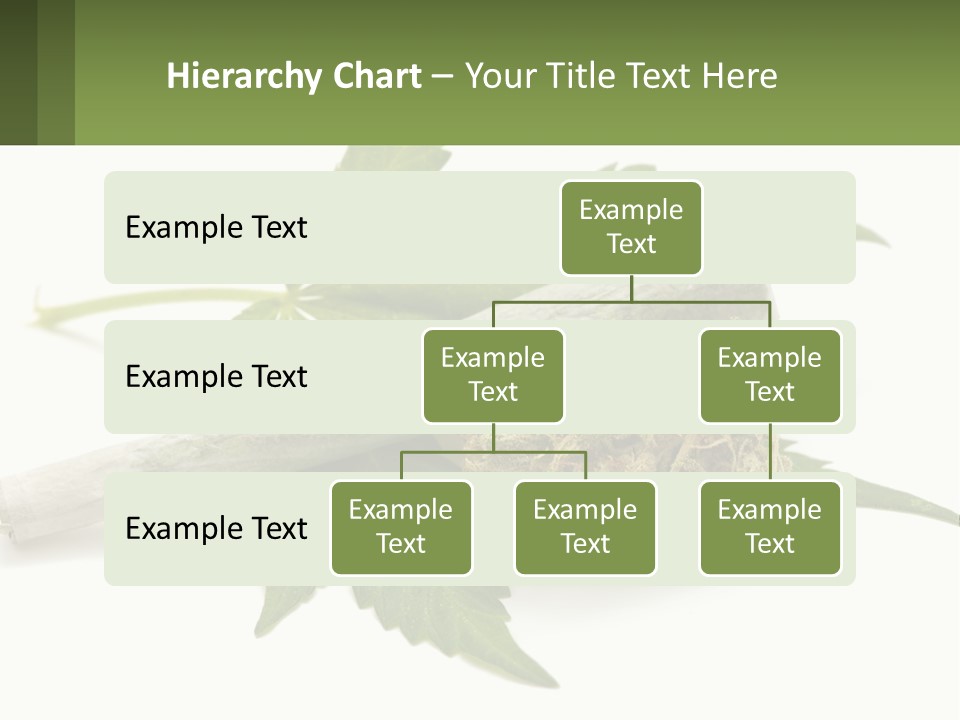 A Marijuana Leaf And A Marijuana Bud On A White Background PowerPoint Template