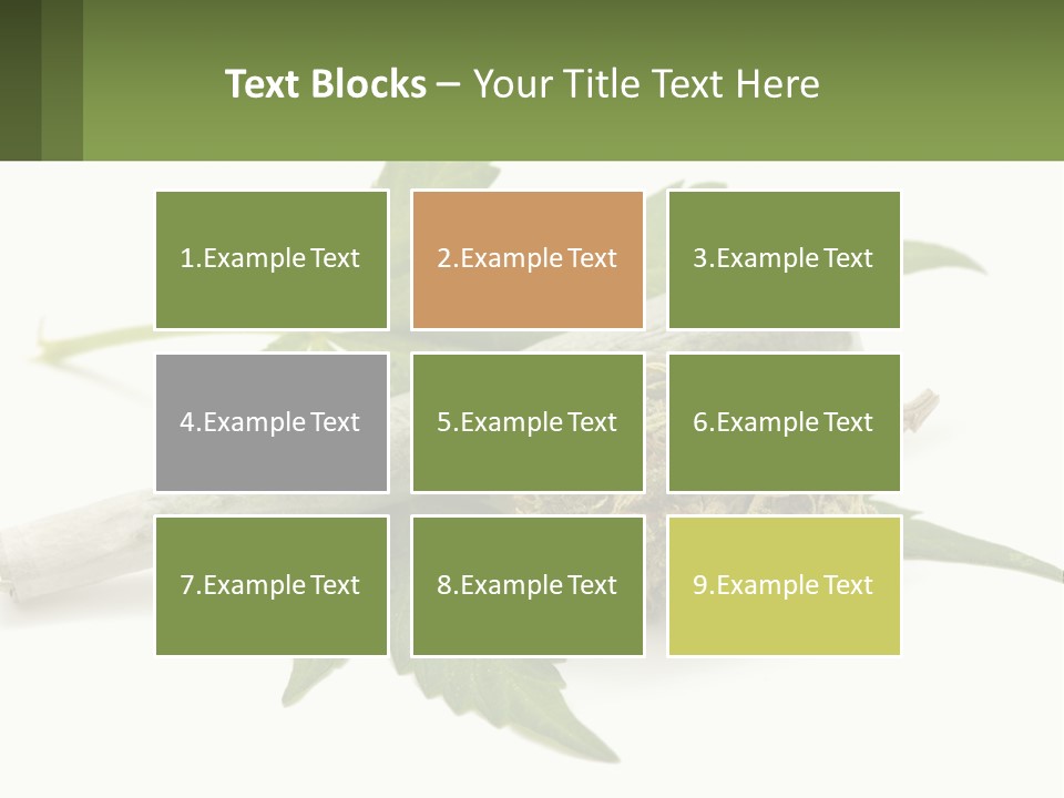 A Marijuana Leaf And A Marijuana Bud On A White Background PowerPoint Template