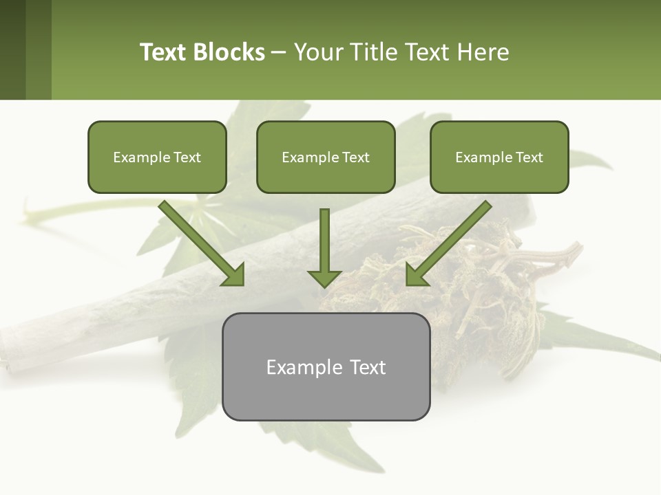 A Marijuana Leaf And A Marijuana Bud On A White Background PowerPoint Template