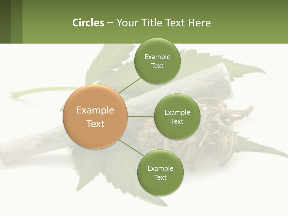 A Marijuana Leaf And A Marijuana Bud On A White Background PowerPoint Template