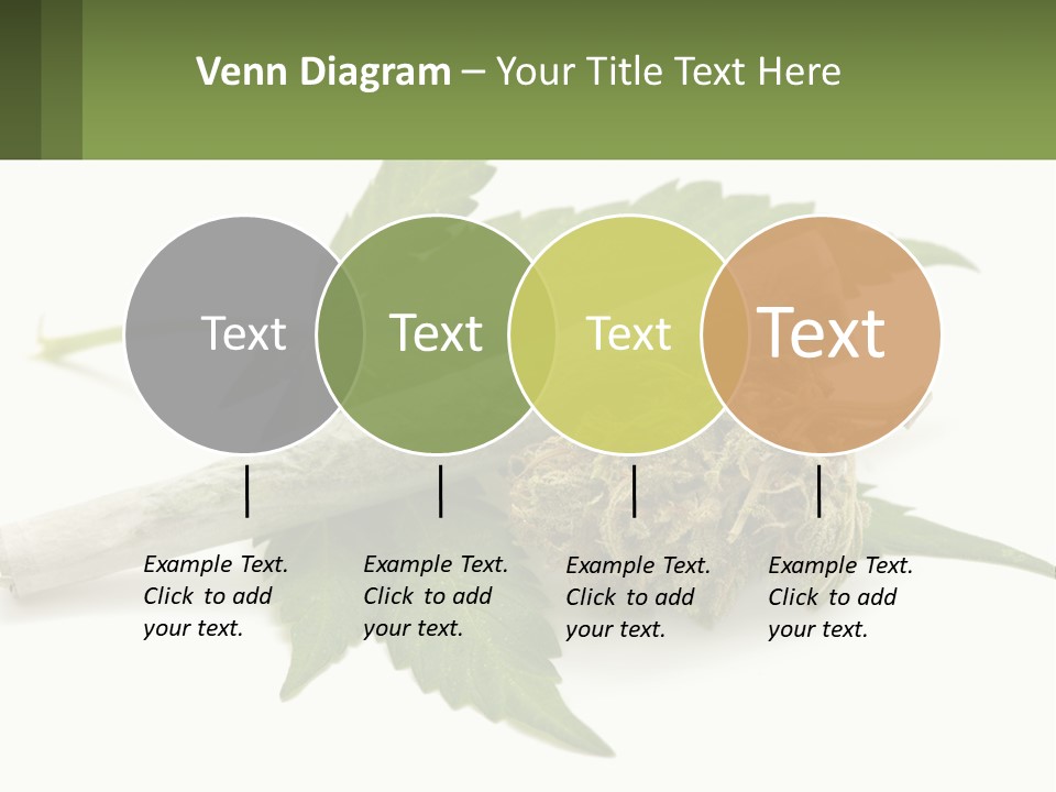A Marijuana Leaf And A Marijuana Bud On A White Background PowerPoint Template