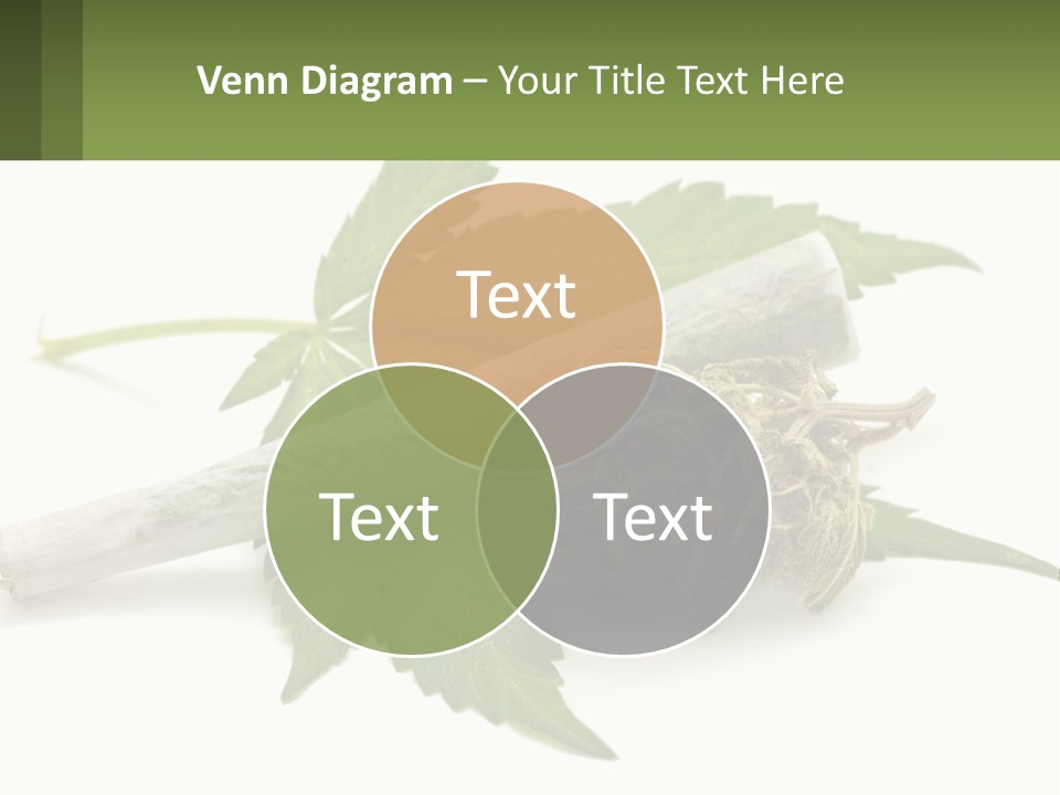 A Marijuana Leaf And A Marijuana Bud On A White Background PowerPoint Template