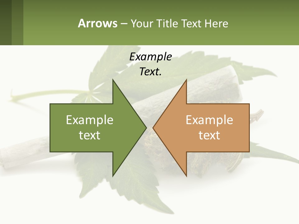 A Marijuana Leaf And A Marijuana Bud On A White Background PowerPoint Template