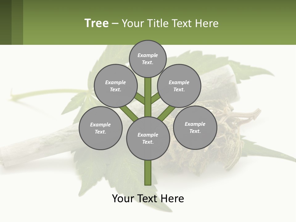 A Marijuana Leaf And A Marijuana Bud On A White Background PowerPoint Template