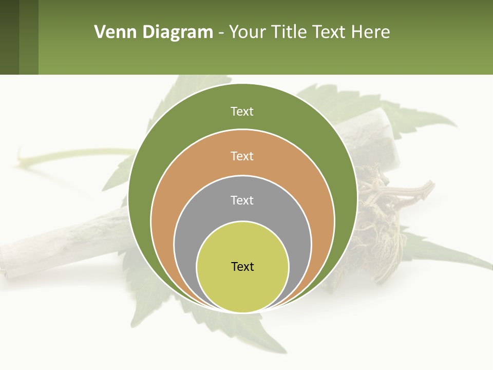 A Marijuana Leaf And A Marijuana Bud On A White Background PowerPoint Template