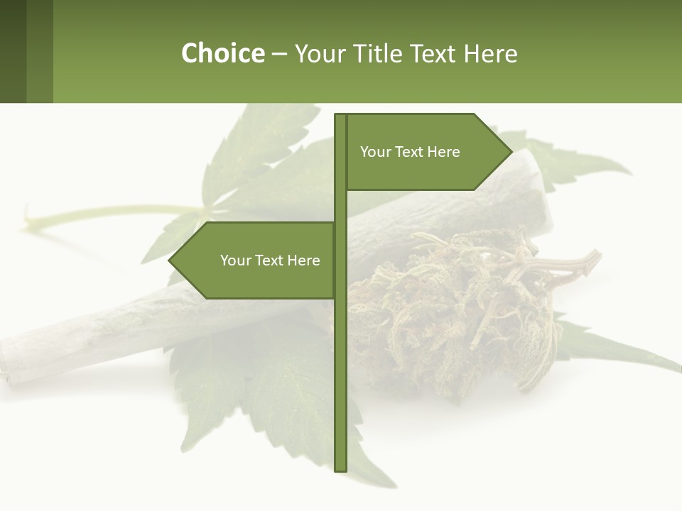 A Marijuana Leaf And A Marijuana Bud On A White Background PowerPoint Template