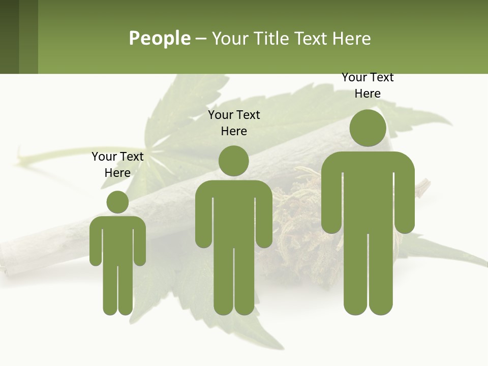 A Marijuana Leaf And A Marijuana Bud On A White Background PowerPoint Template