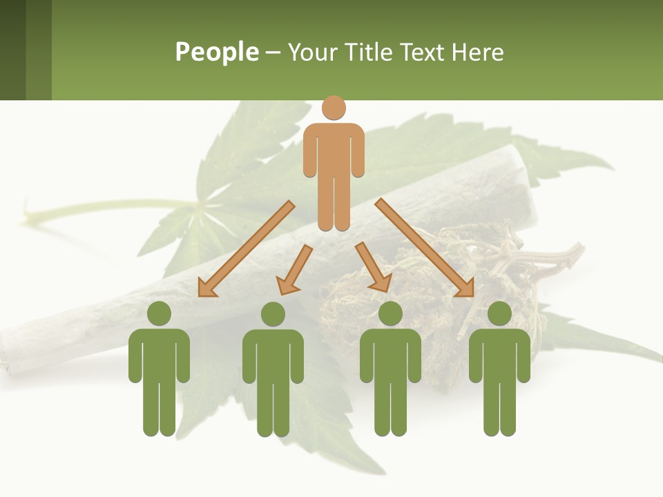 A Marijuana Leaf And A Marijuana Bud On A White Background PowerPoint Template