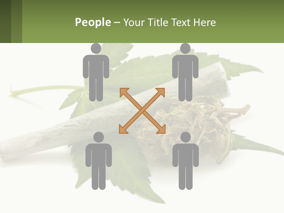 A Marijuana Leaf And A Marijuana Bud On A White Background PowerPoint Template