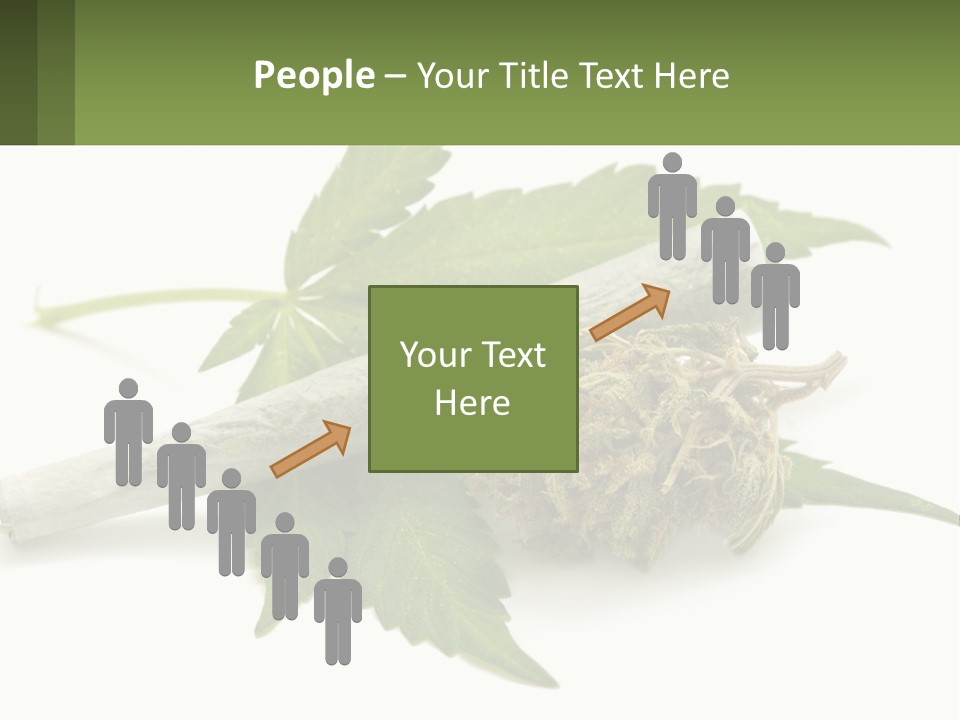 A Marijuana Leaf And A Marijuana Bud On A White Background PowerPoint Template