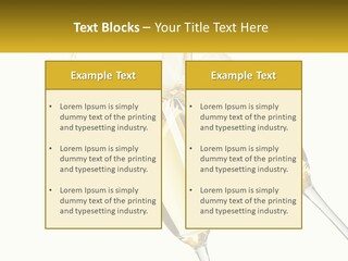 Two Glasses Of Champagne Being Filled With Liquid PowerPoint Template