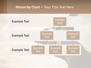 A Person Holding Their Hand Up To The Sky PowerPoint Template
