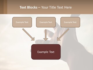 A Person Holding Their Hand Up To The Sky PowerPoint Template