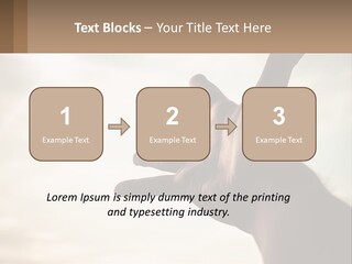 A Person Holding Their Hand Up To The Sky PowerPoint Template