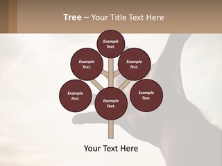 A Person Holding Their Hand Up To The Sky PowerPoint Template