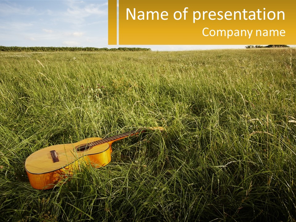 A Guitar In A Field Of Tall Grass PowerPoint Template
